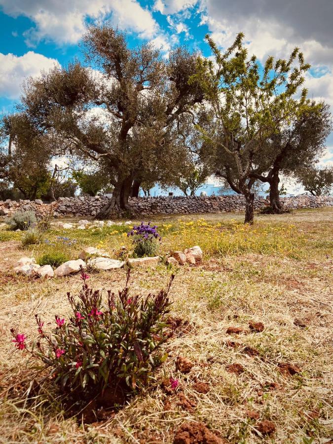 Trulli Acquasala - Apulian Country Experience Villa ออสตูนี ภายนอก รูปภาพ