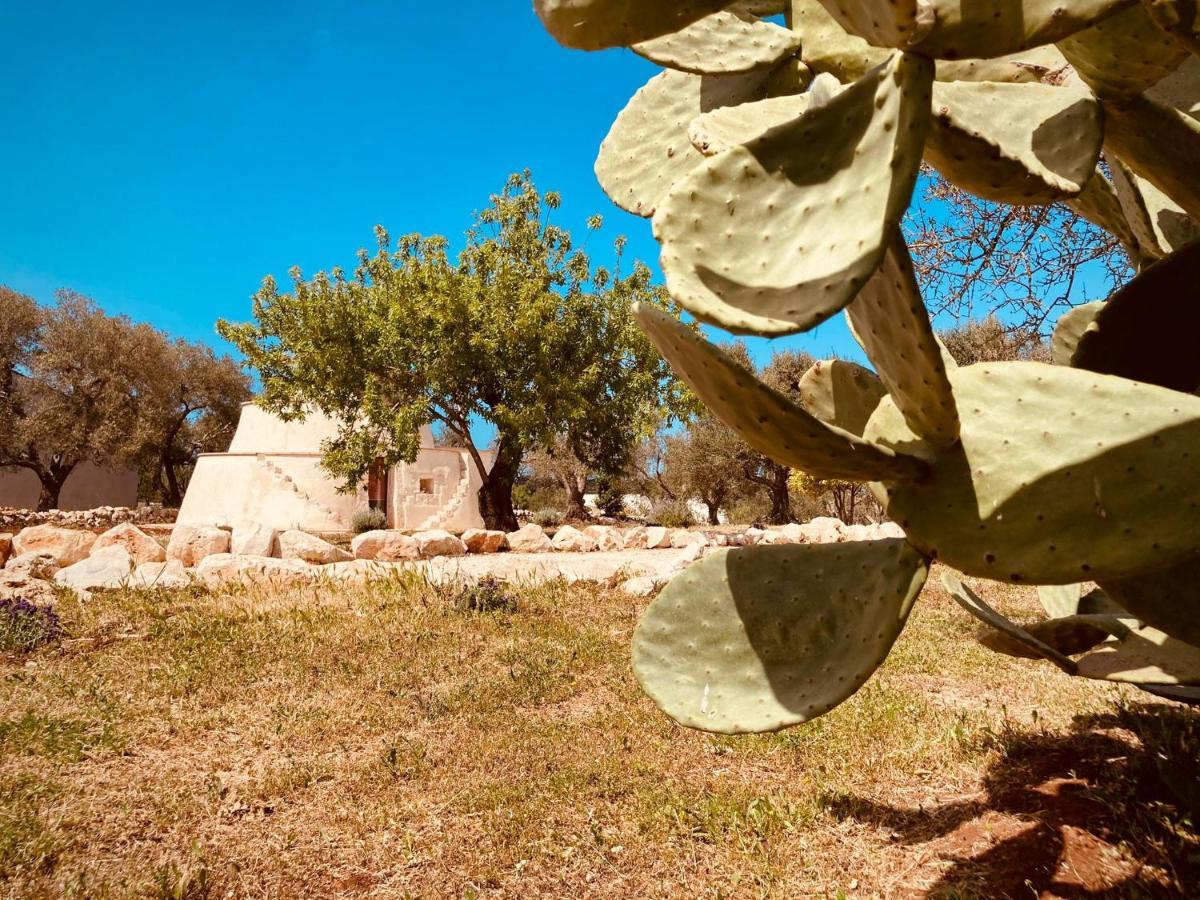 Trulli Acquasala - Apulian Country Experience Villa ออสตูนี ภายนอก รูปภาพ