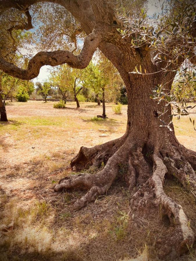 Trulli Acquasala - Apulian Country Experience Villa ออสตูนี ภายนอก รูปภาพ